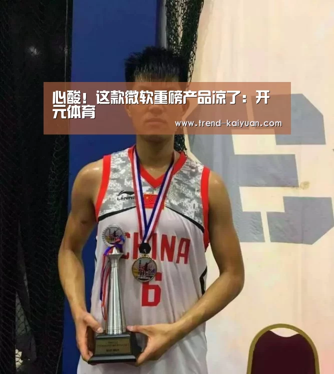 心酸!这款微软重磅产品凉了:开元体育(图4) 开云体育网站