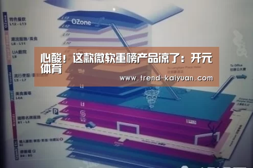 心酸!这款微软重磅产品凉了:开元体育(图2) 开云体育网站