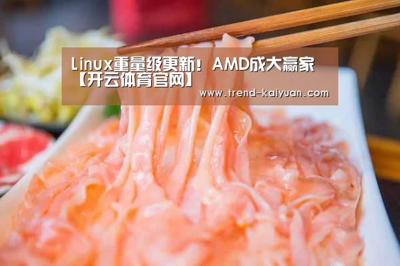 Linux重量级更新!AMD成大赢家【开云体育官网】(图2) 开云体育电竞竞猜