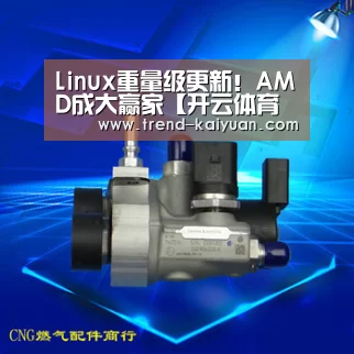 Linux重量级更新!AMD成大赢家【开云体育官网】(图1) 开云体育电竞竞猜