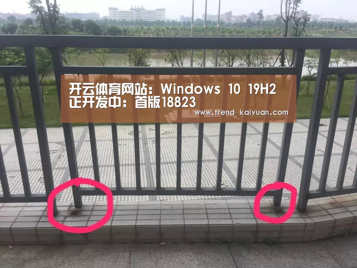 开云体育网站:Windows 10 19H2正开发中:首版18823(图1) 开元体育