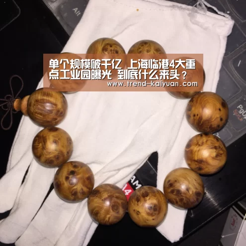 单个规模破千亿 上海临港4大重点工业园曝光 到底什么来头?【开云体育电竞竞猜】(图1) 开云体育官网