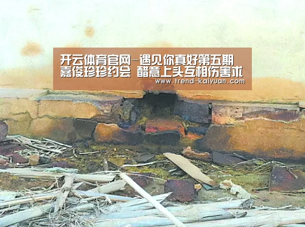 开云体育官网-遇见你真好第五期嘉俊珍珍约会 醋意上头互相伤害求生欲为0(图3) 开云体育网站
